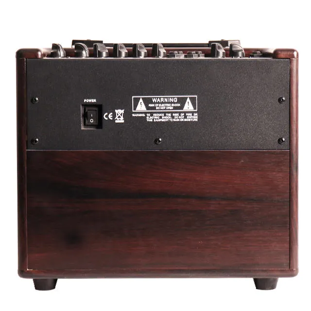 Bullfighter DG40 Amplifier