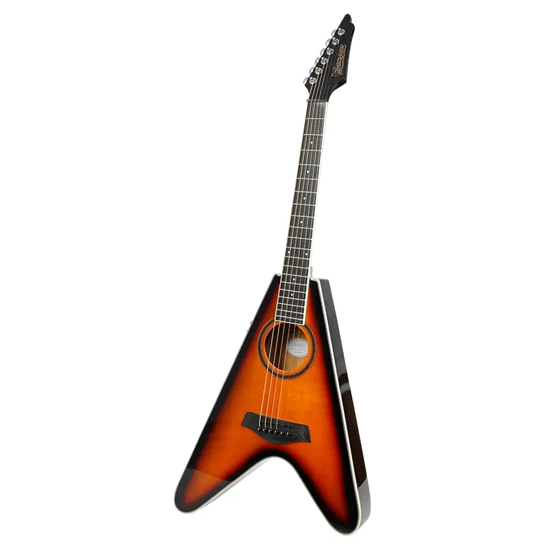 Flying V  Solid Guitar