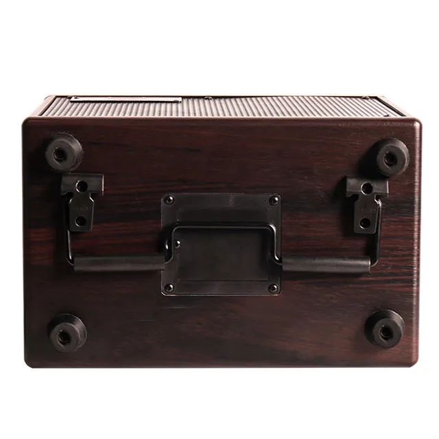 Bullfighter DG40 Amplifier