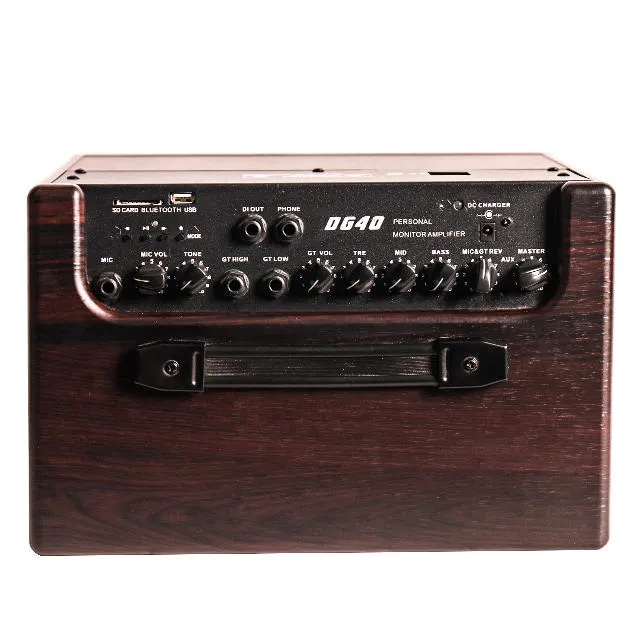 Bullfighter DG40 Amplifier