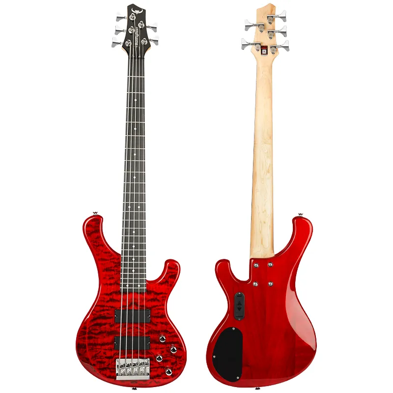 DB-120 5 String Bass