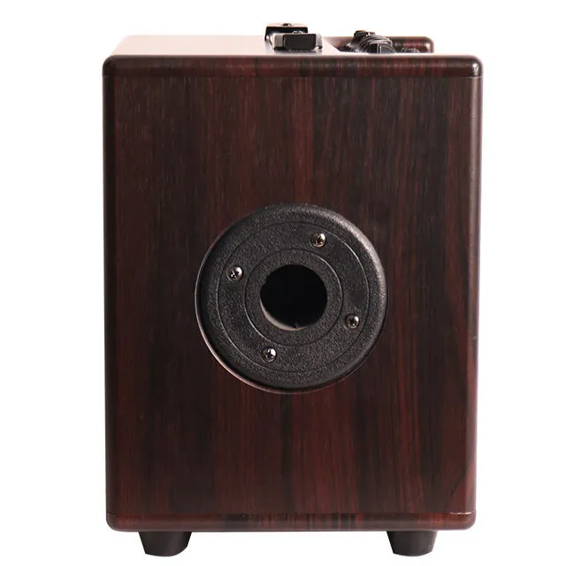 Bullfighter DG40 Amplifier