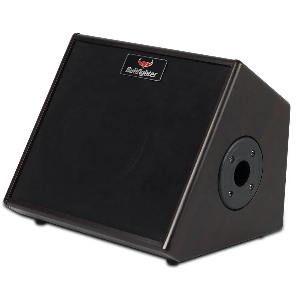 Bullfighter DG30 Amplifier