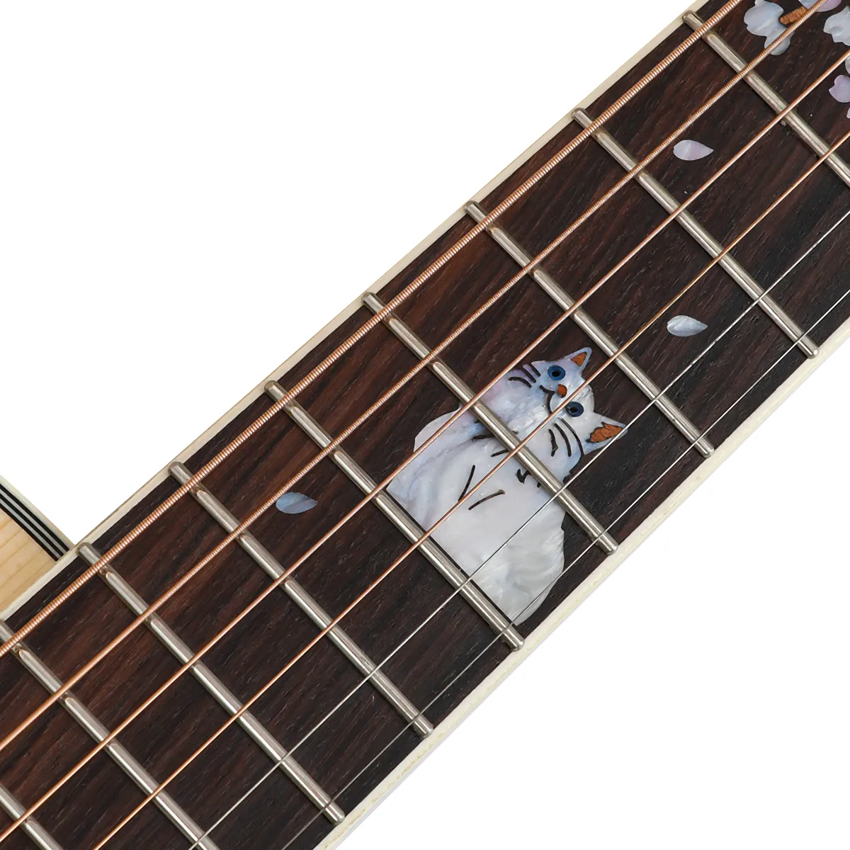 D5-Civitcat NA High-gloss