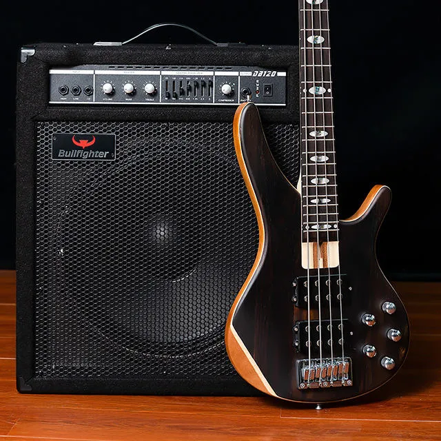 Bullfighter DB120 Amplifier