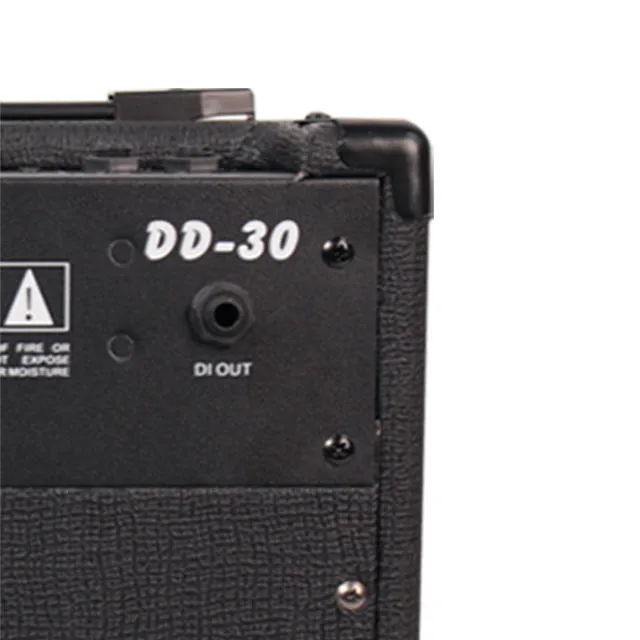 Bullfighter DD30 Amplifier