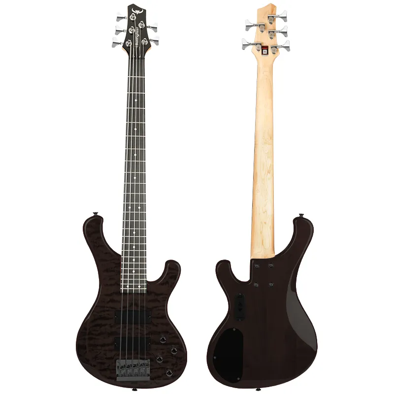 DB-120 5 String Bass
