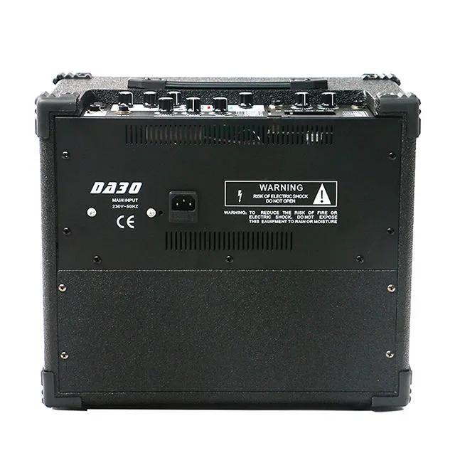 Bullfighter DA30D Amplifier