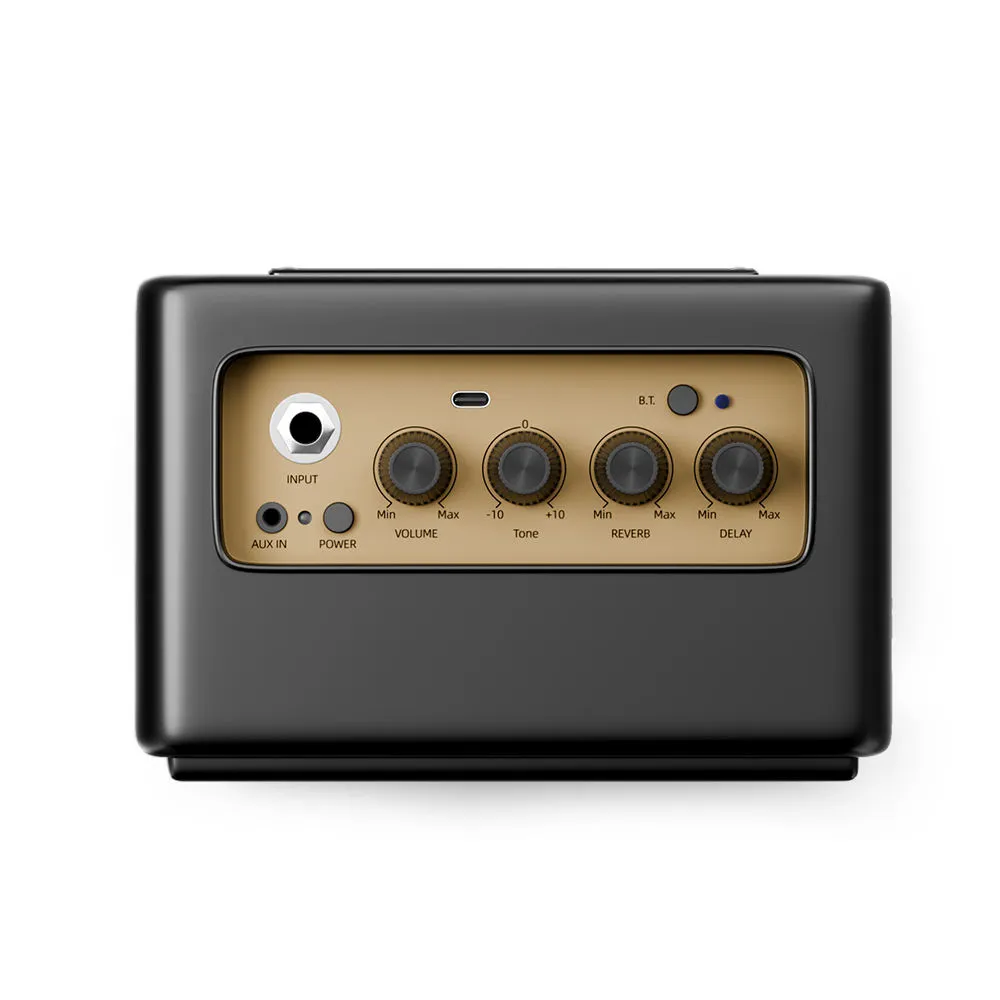 Bullfighter BA10 Amplifier