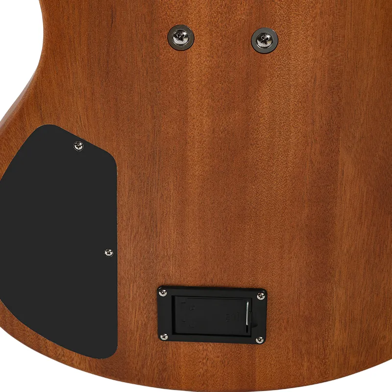 DB-5 5-String Electric Bass