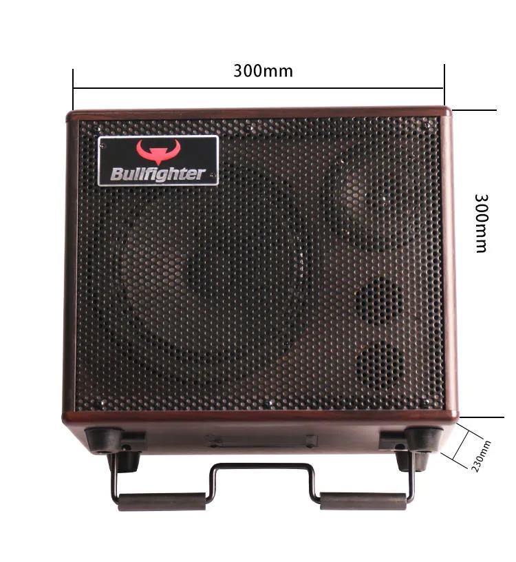 Bullfighter DG40 Amplifier