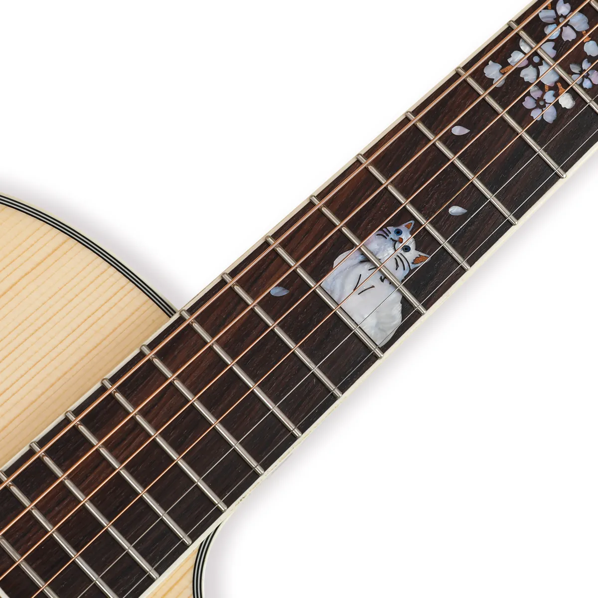 D5-Civetcat PK High-gloss