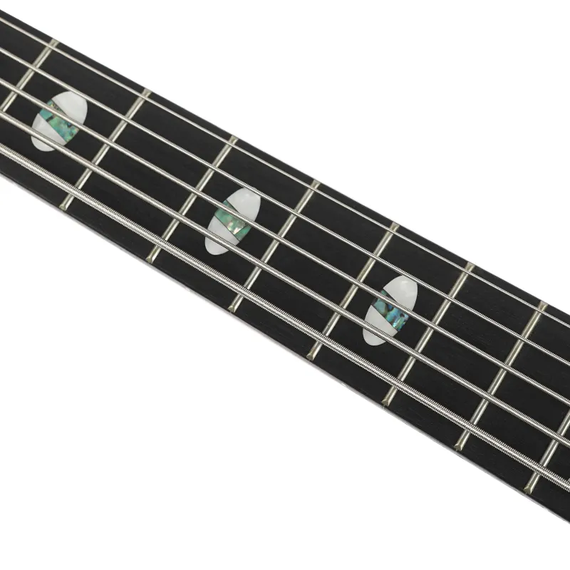 DB-5 5-String Electric Bass