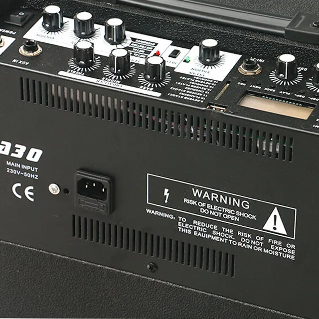 Bullfighter DA30D Amplifier