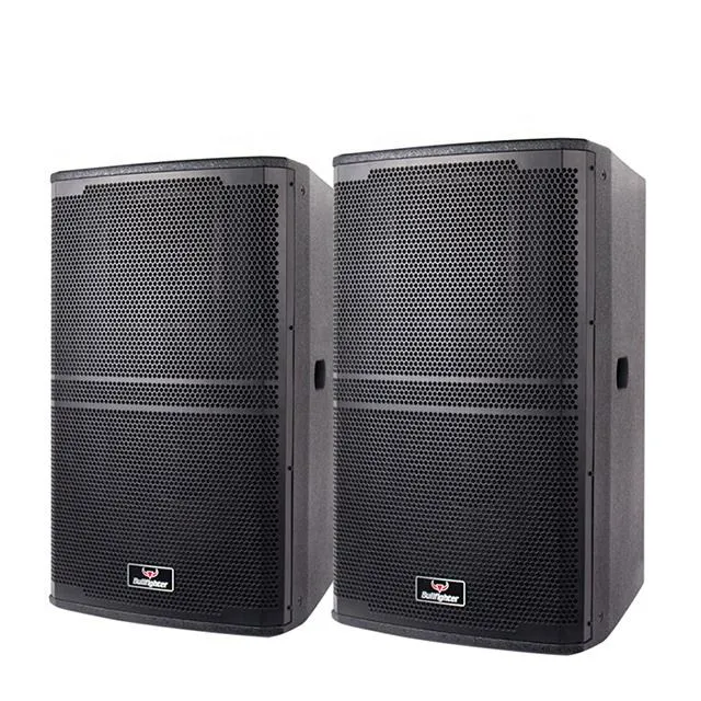 Bullfighter DG500 Amplifier